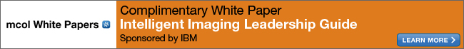 White Paper: Intelligent imaging leadership guide:New perspectives on enhancing customer engagement and reducing costs with smarter content Sponsored by IBM