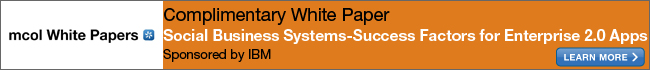 White Paper: Social Business Systems-success factors for Enterprise 2.0 applications Sponsored by IBM